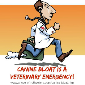 Cartoon veterinarian treating canine bloat