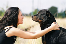 Rottweiler with woman owner