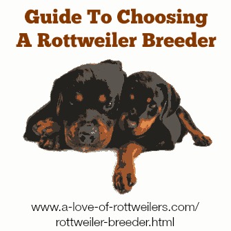 Choosing A Rottweiler Breeder