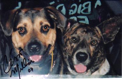 Sami and Brindle, with a famous autograph