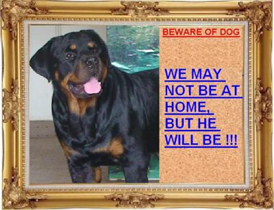 dog-warning-sign-21592064